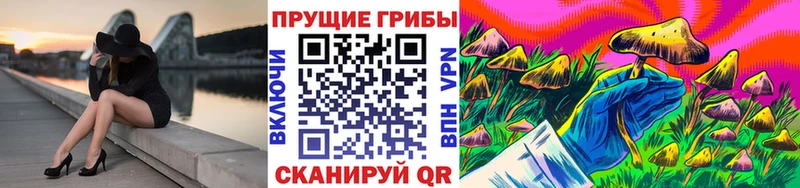 хочу наркоту  Унеча  Галлюциногенные грибы Magic Shrooms 