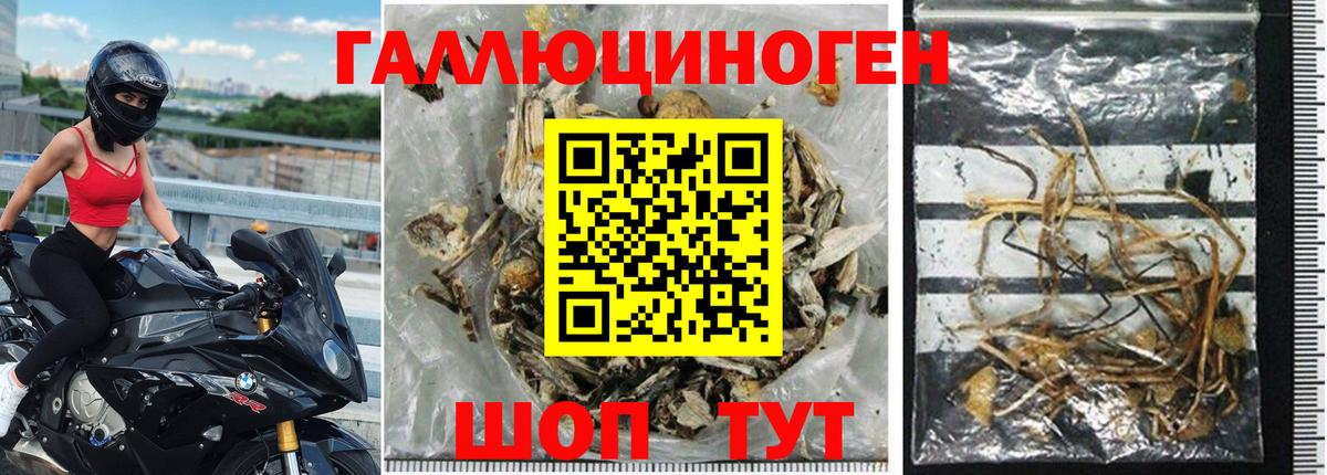 продажа наркотиков  Галлюциногенные грибы Psilocybe  Вход с VPN  Галлюциногенные грибы MAGIC MUSHROOMS  Унеча 